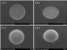 SEM 관찰 : (a) pad open, (b) open pad tilting하여 관찰 (C) solder bump 관찰, (d) solder bump tilting하여 관찰