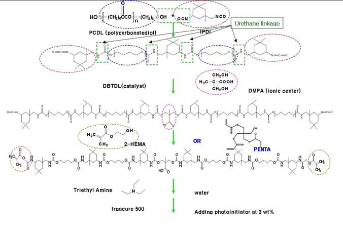 UV 경화형 polycarbonate 계 polyurethane (meth)acrylate 도료의 합성