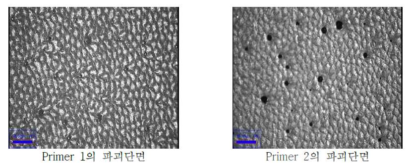 광학현미경을 통한 T-peel test 후의 파괴단면 관찰