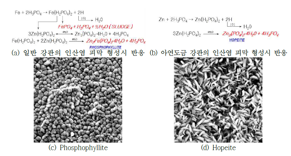 전처리 공정이론 및 전처리 표면