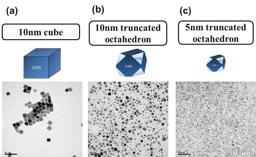 형상 제어된 팔라듐 나노 입자의 TEM 사진. (a) 10 nm cube, (b) 10 nm truncated octahedron (tOh), (c) 5 nm truncated octahedron.