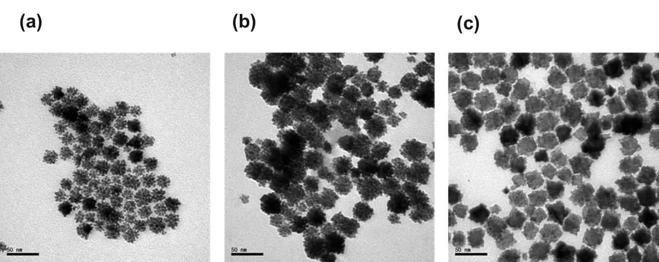 PdPt 덴드라이트 형상 제어 (a) ~ 25 nm PdPt 덴드라이트 (b) ~ 35 nm PdPt 덴드라이트. (c) ~ 35 nm PdPt raspberry-like nanoparticles