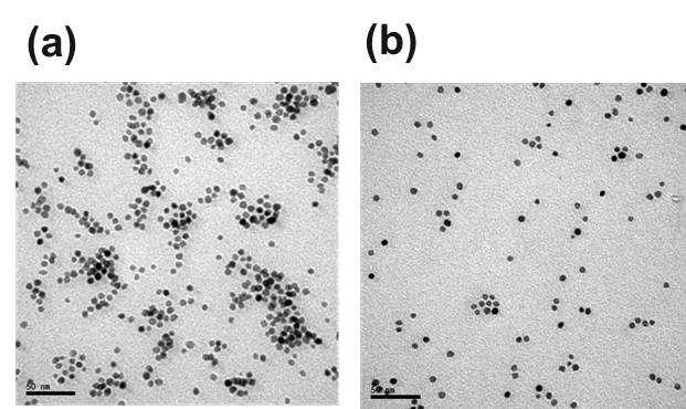 에틸렌 글리콜을 이용하여 합성된 7 nm의 균일한 PdPt 나노 입자, (a) 7 nm PdPt 나노 입자. (b) Br- 이온을 넣어 좀 더 균일하게 합성한 7 nm PdPt 나노 입자.