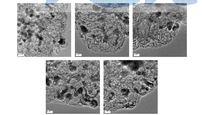 불용성 헤테로폴리산을 담지한 MCF silica에 팔라듐을 담지한 촉매(Pd/CsXPW/MCF(X=1.7, 2.0, 2.2, 2.5, 2.7))의 TEM 이미지.