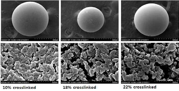 10%, 18%, 22% Crosslinked Resin SEM 분석결과.