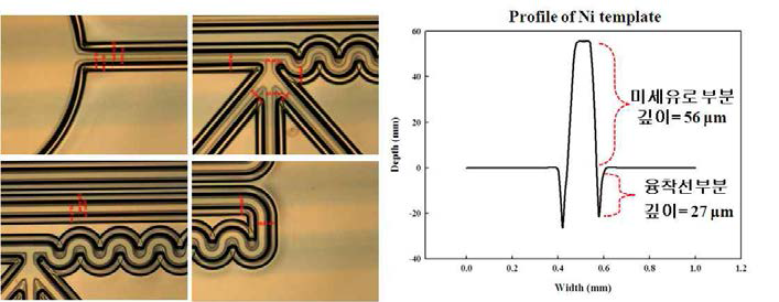 Ni 템플릿의 실물 및 프로파일러 분석.