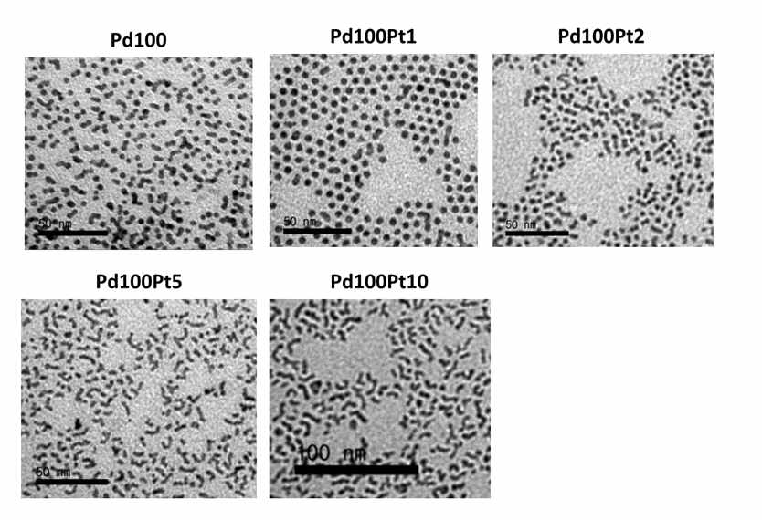 Pt 함량을 조절하여 합성한 PdPt 나노 입자의 전자 현미경 사진들. Pt의 함량이 증가함에 따라 입자의 형상이 달라지는 것을 확인할 수 있다.