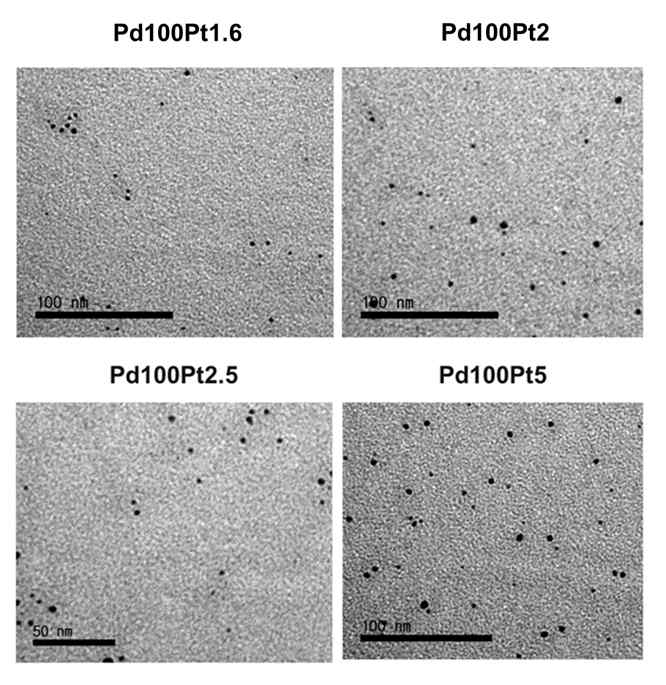 PVP와 L-ascorbic acid를 이용하여 물에서 합성한 PdPt 나노 입자의 TEM 사진.