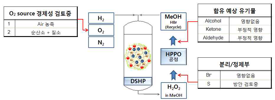 DS-HPPO 통합공정 과 요소기술 개념도
