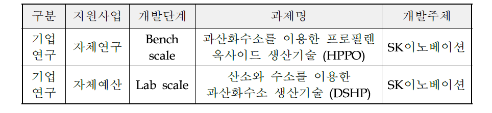 국내 기술개발 현황