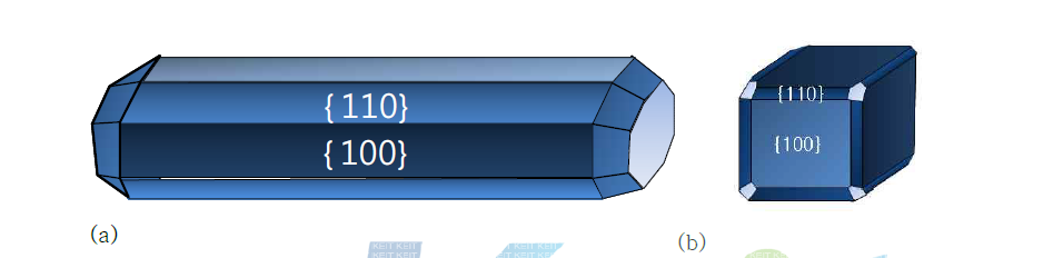 (a) {110}면과 {100}면이 옆에서 많이 드러난 나노 라드의 모형, (b) {110}면과 {100}면이 드러난 cube의 모형.