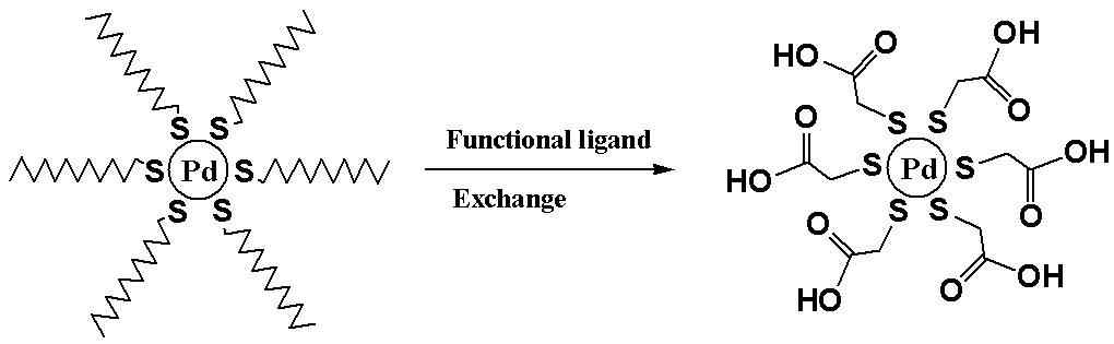균일한 팔라듐 나노입자의 표면 개질의 메커니즘