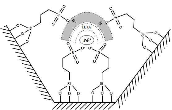 술폰산기가 도입된 중형기공 실리카에 팔라듐을 담지한 촉매에서 수소 이온이 생성된 과산화수소를 둘러싸는 구조적 개략도