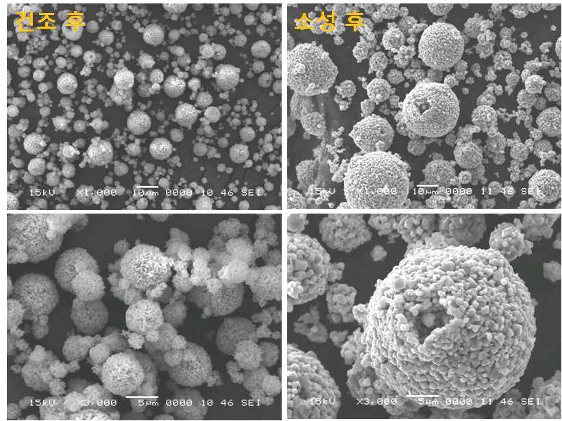 습식 공정 합성에 의한 소성 전후의 입자 형상