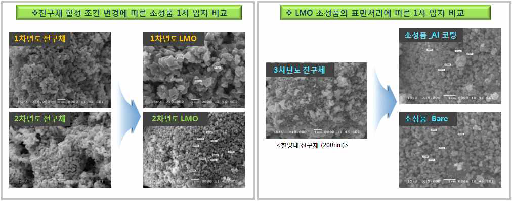 LMO 소성품의 표면처리에 따른 1차 입자 비교