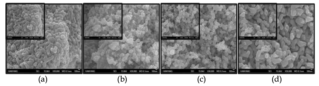 Mn sulfate pentahydrate 50 mM를 투입해서 제조한 망간 산화물 입자의 FE-SEM 사진