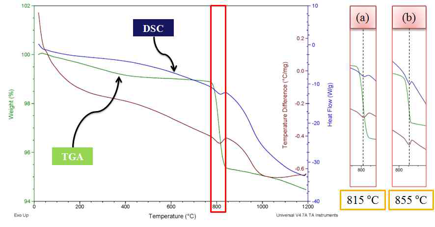 제조한 입자들의 TGA and DSC data