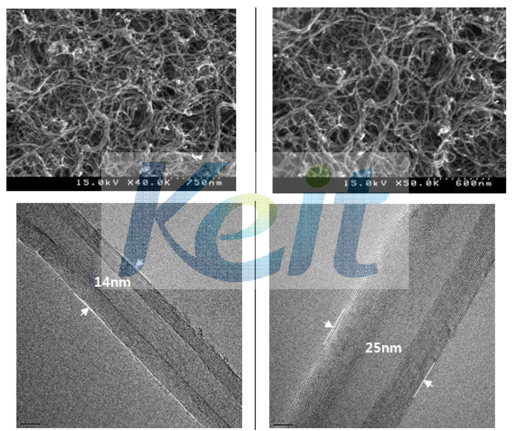 본 실험에 사용한 MWCNT의 SEM과 TEM 사진