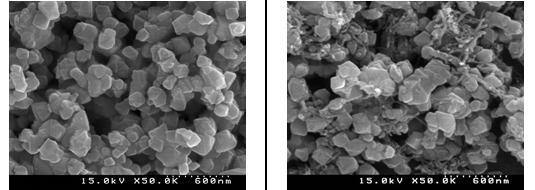 (a) MWCNT를 첨가하지 않고 제조한 LTO와 (b) MWCNT를 첨가하여 제조한 LTO의 SEM 사진