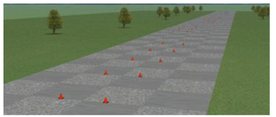 Double lane change virtual course