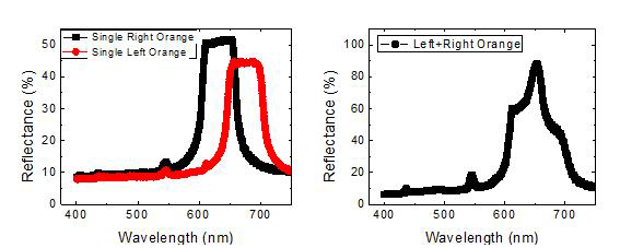 Red 대역에서 최대 반사도를 가지는 콜레스테릭 액정 셀의 적층 전 반사도(좌) 및 싱글 셀 반사도의 산술합을 파장에 따라 Plot 한 그림(우)
