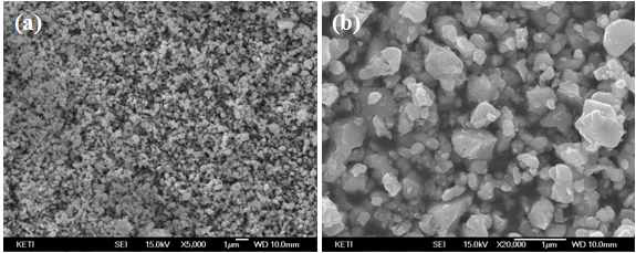 AL 분말의 SEM 이미지 (a) ×5,000배, (b) ×20,000배