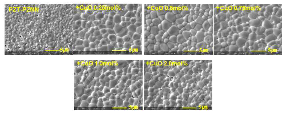 800℃에서 4시간 하소한 뒤 900℃에서 4시간 소결한 PZT0.545- PNN-PZN 세라믹의 CuO 함량에 따른 미세 구조 변화
