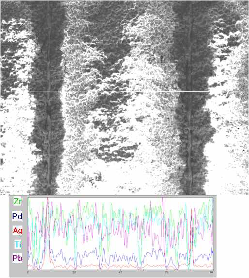 PZT0.54-PNN-PZN 시트를 이용하여 Ag/Pd 전극과 동시 소성한 1차 소자의 전극 반응성 EDX 결과