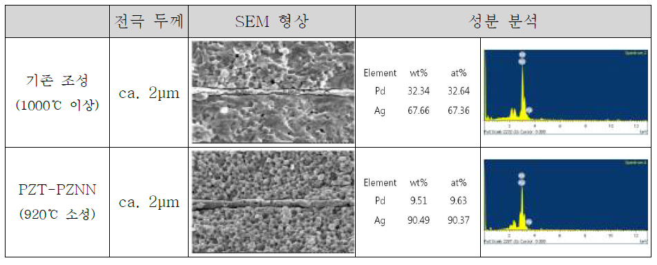 내부 전극 SEM/EDS 분석