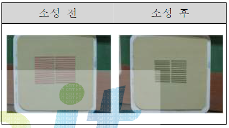 소성체 형상