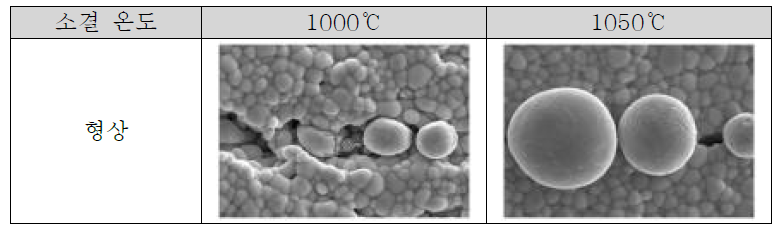 소결 온도별 내부 전극 불량 형상