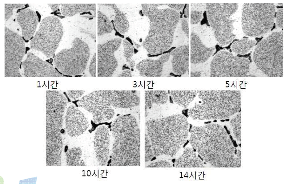 균질 열처리 시간에 따른 미세조직의 변화