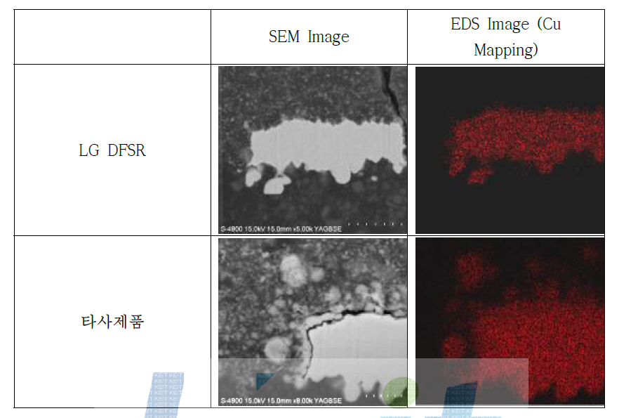 LG화학 평가 결과 SEM/EDS 분석