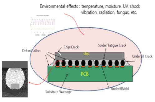 Substrate Warpage 의한 신뢰성 불량 사례