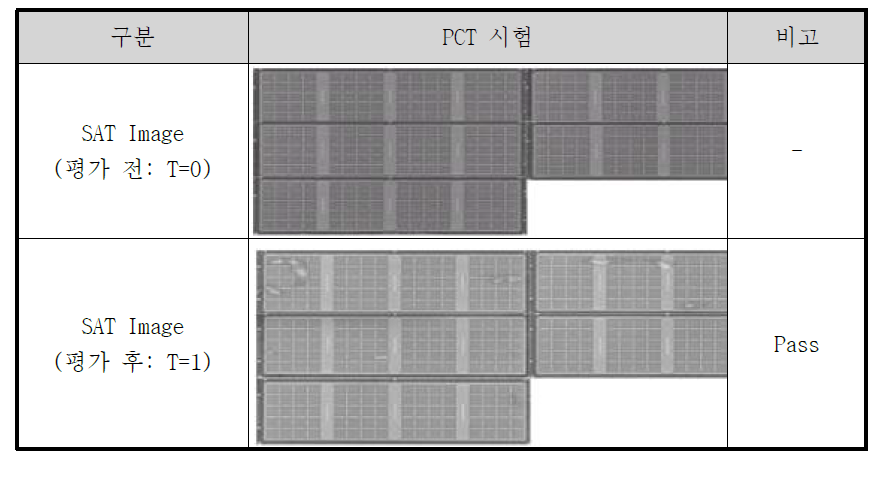 PCT SAT 결과