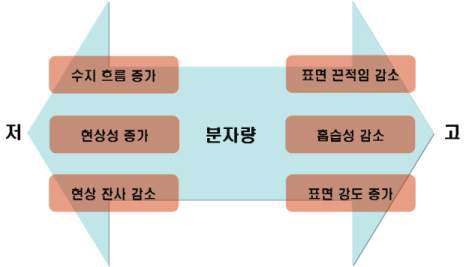 분자량에 따른 특성 영향