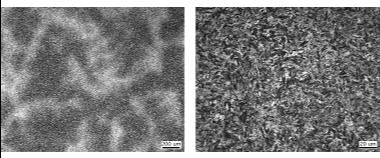 냉각방법별 단연 미세조직 : Polymer Quenching