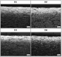 열처리(Q-T) 시편의 표면직하부 단면 미세조직(D1~D4 ; X50)