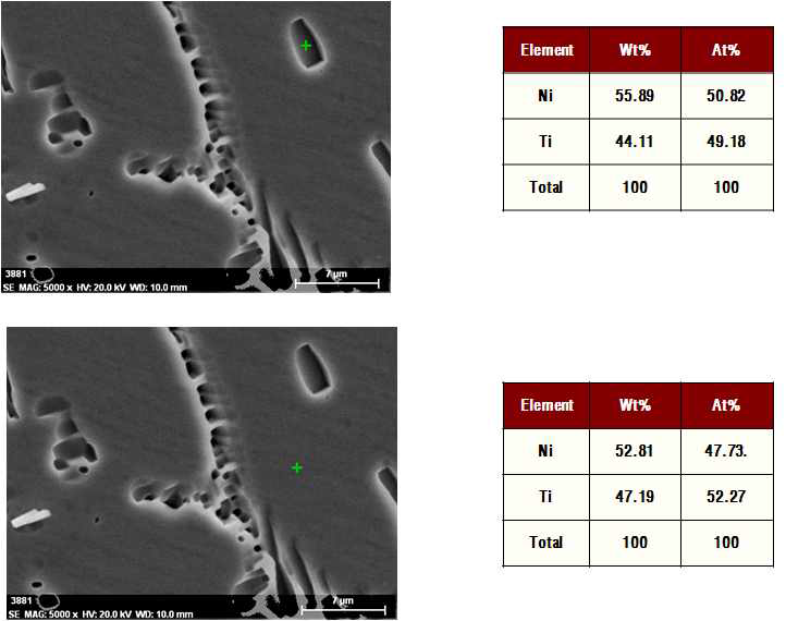 균질화 열처리 후 NiTi 잉고트의 부위별 SEM/EDS 분석결과