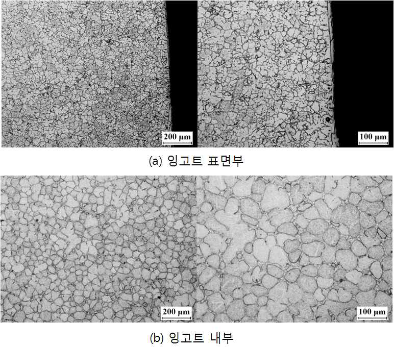 NiTi의 ISM 용해 후 잉고트의 미세조직 및 ESD 분석결과(Ti skull 이용)