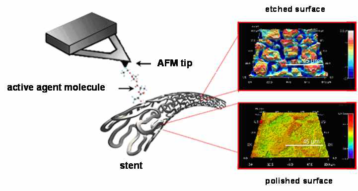 AFM을 이용한 스텐트 표면거칠기 측정