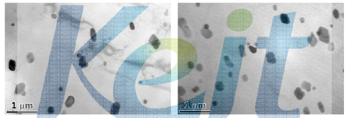 80 ㎛ 두께로 압연된 4343/3003/4343 클래드재의 고온 노출 후 TEM 사진.