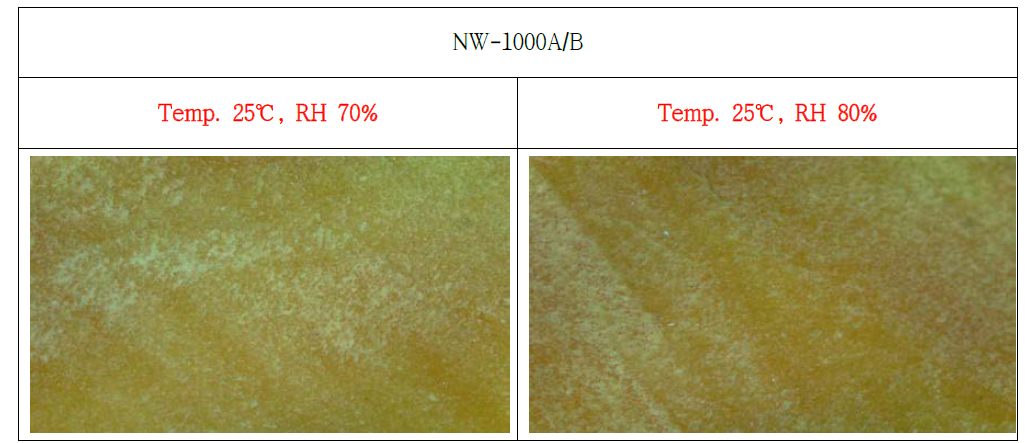 NW-1000A/B 온/습도별 표면 경화 광학현미경 사진