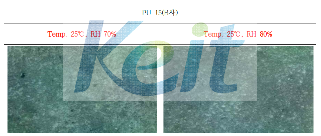 PU 15 온/습도별 표면 경화 광학현미경 사진