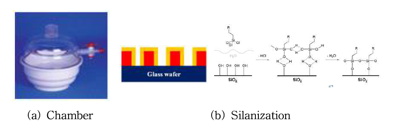 Chamber와 Silanization 이미지