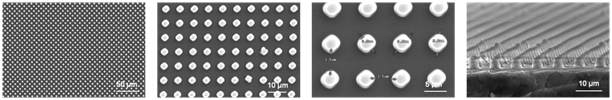 Negative PR을 이용하여 제작한 균일한 패턴을 갖는 PDMS 스탬프의 SEM 사진