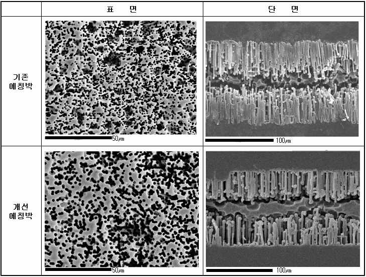 기존 에칭박과 개선 에칭박의 SEM image비교