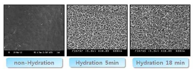 수화 처리 시간에 따른 표면 SEM 분석
