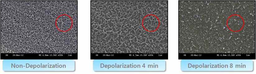 depolarization 처리 시간에 따른 표면 SEM 분석