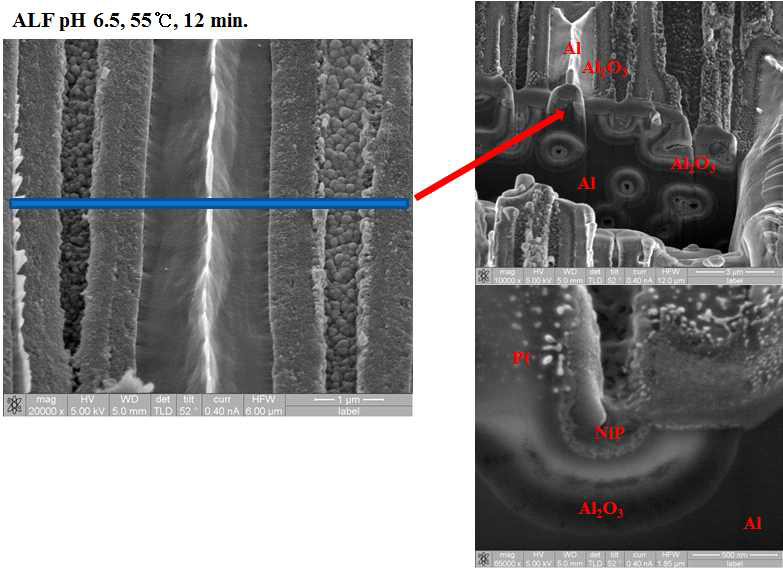 Al etching foils에 무전해 Ni-P 전극 형성 후 FIB 단면 측정 형상